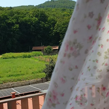 Sólyomvár-lak Bed and breakfast Komloska