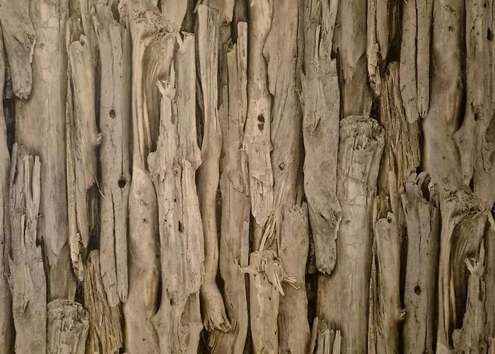 Solyomvar-lak Bed & Breakfast Komloska